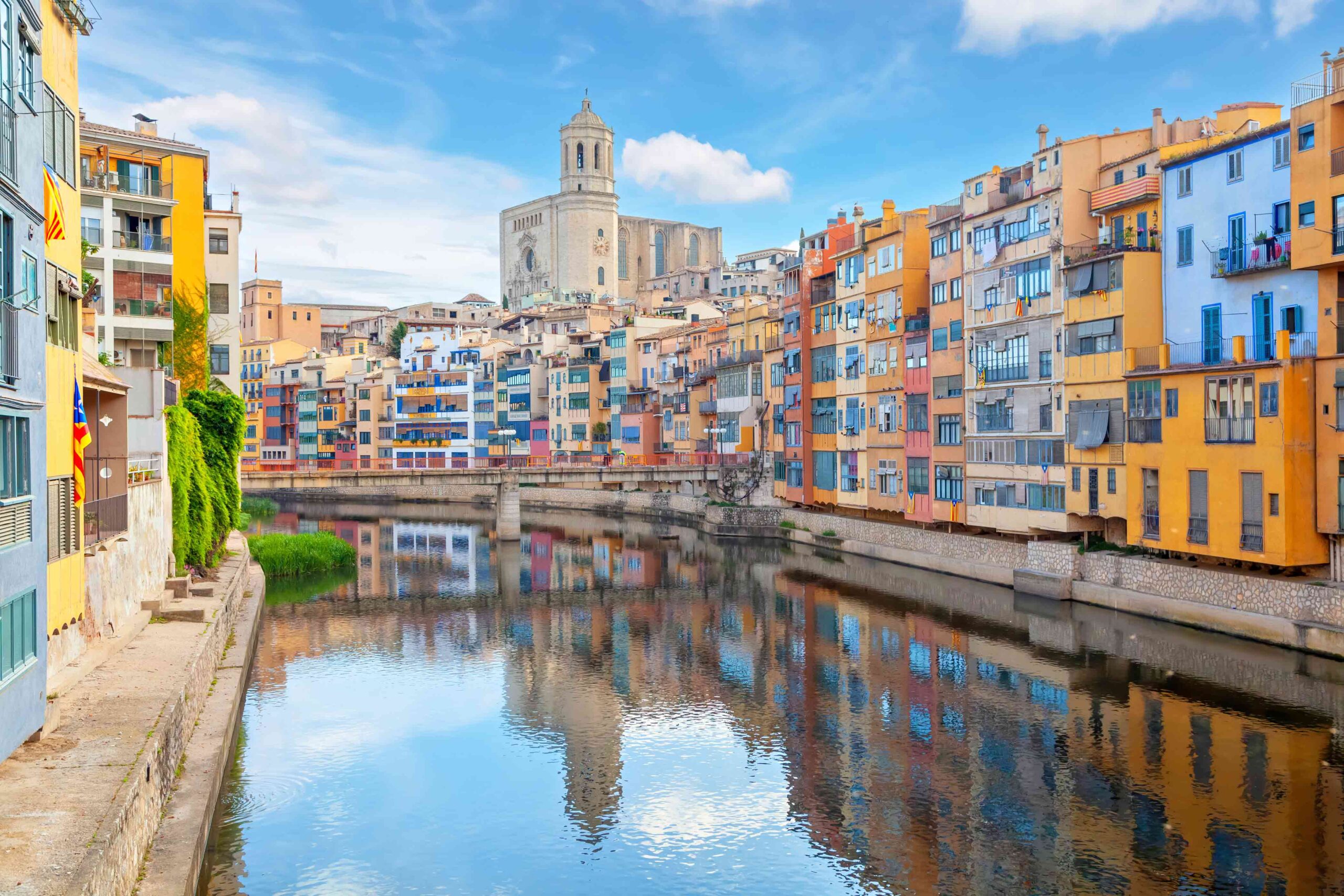 quinta gama cataluña